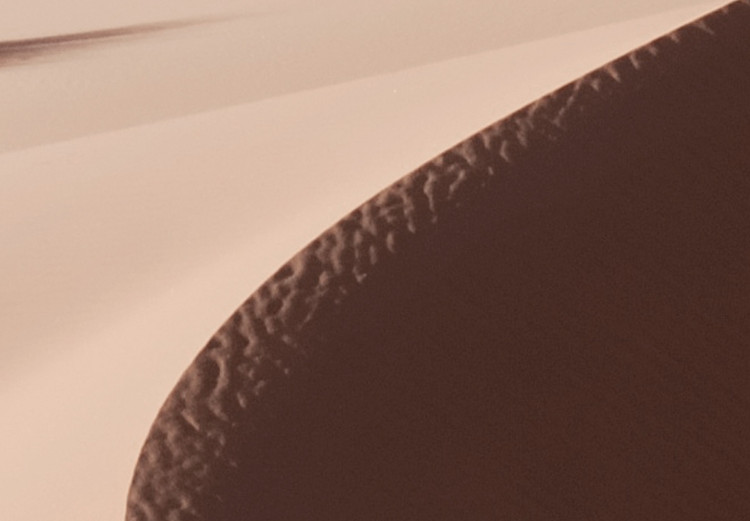 Poster Serpentine - serene landscape of sand dunes in the desert against brown grass 129512 additionalImage 10