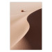 Poster Serpentine - serene landscape of sand dunes in the desert against brown grass 129512