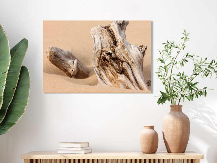 Canvas Uncovered Past (1-piece) Wide - wood bark landscape on the beach 129812 additionalImage 3