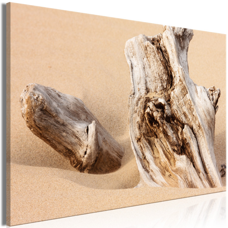 Canvas Uncovered Past (1-piece) Wide - wood bark landscape on the beach 129812 additionalImage 2
