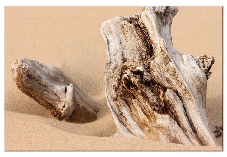 Canvas Uncovered Past (1-piece) Wide - wood bark landscape on the beach 129812