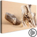 Canvas Uncovered Past (1-piece) Wide - wood bark landscape on the beach 129812 additionalThumb 6