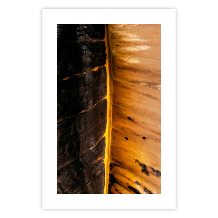 Poster Sunny Contrast - golden leaf half black with distinct structure 130512 additionalImage 17
