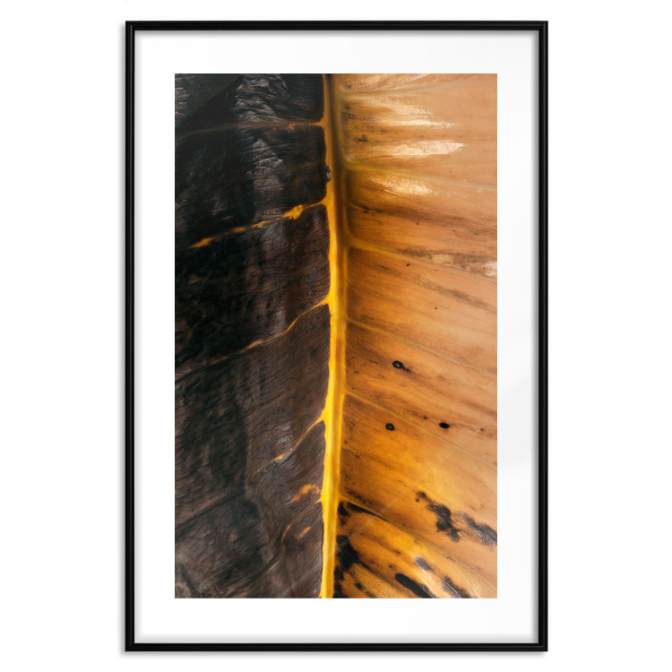 Poster Sunny Contrast - golden leaf half black with distinct structure 130512 additionalImage 27