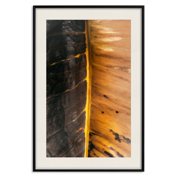 Poster Sunny Contrast - golden leaf half black with distinct structure 130512 additionalImage 25