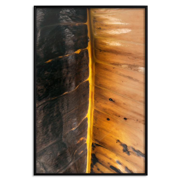 Poster Sunny Contrast - golden leaf half black with distinct structure 130512 additionalImage 16