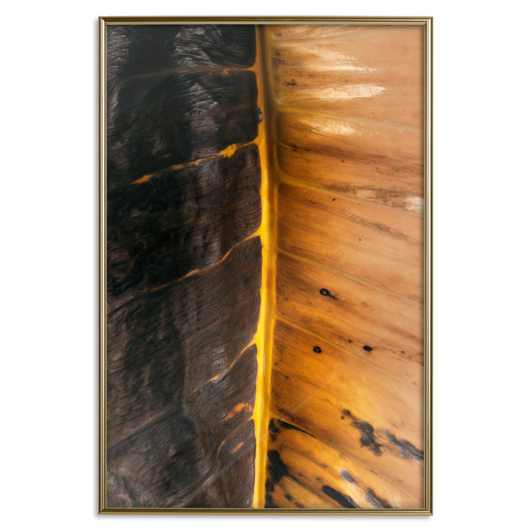 Poster Sunny Contrast - golden leaf half black with distinct structure 130512 additionalImage 14