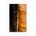 Poster Sunny Contrast - golden leaf half black with distinct structure 130512 additionalThumb 15