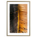 Poster Sunny Contrast - golden leaf half black with distinct structure 130512 additionalThumb 20