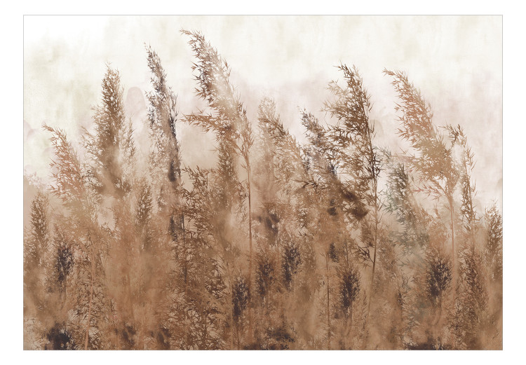 Photo Wallpaper Tall Grasses - Brown 131712 additionalImage 1