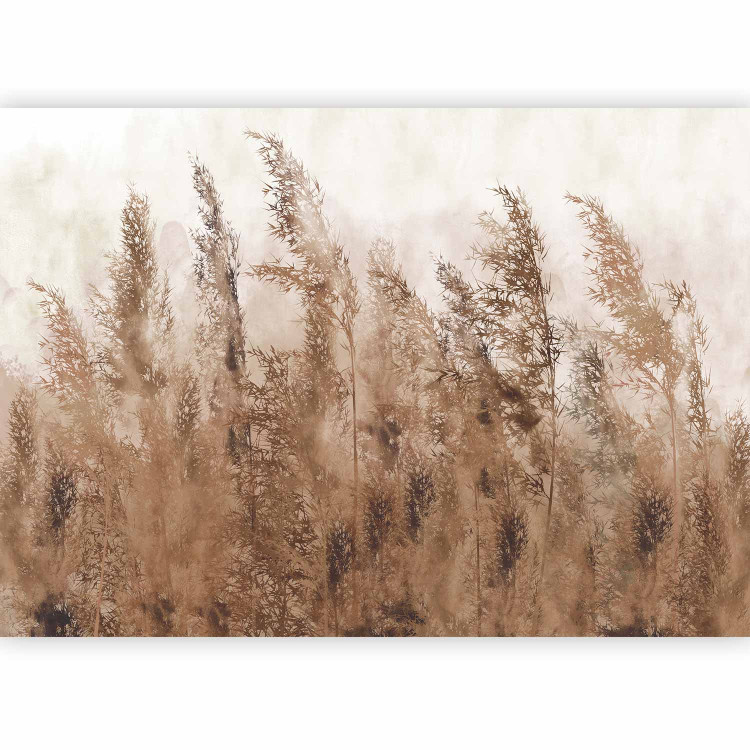 Photo Wallpaper Tall Grasses - Brown 131712 additionalImage 5