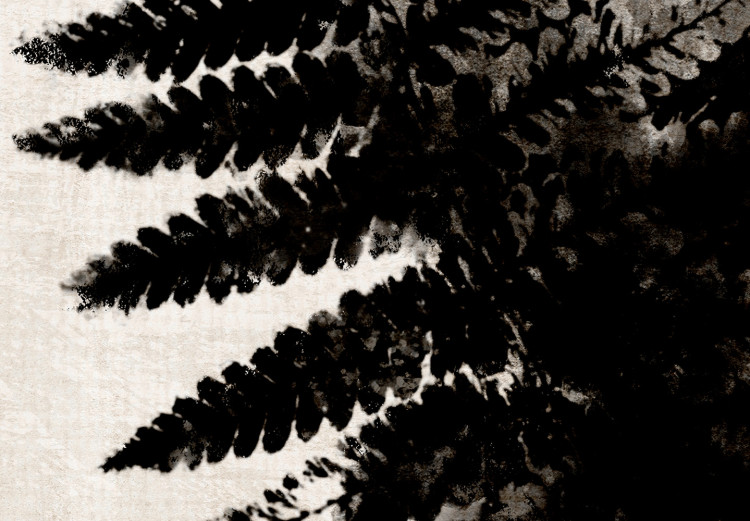 Wall Poster Fern Trace - dark plant composition on a beige textured background 134512 additionalImage 9