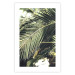 Wall Poster Green Queen - leaf landscape against vegetation and light glare 135312 additionalThumb 2