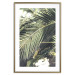 Wall Poster Green Queen - leaf landscape against vegetation and light glare 135312 additionalThumb 17