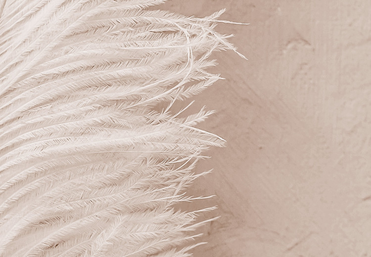 Canvas White feather on a beige counter - Scandi Boho style composition 136512 additionalImage 4