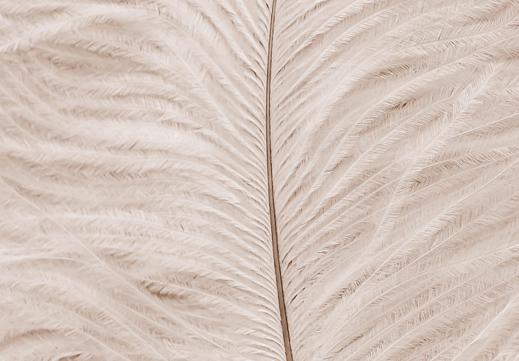 Canvas White feather on a beige counter - Scandi Boho style composition 136512 additionalImage 5