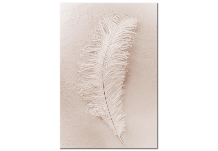 Canvas White feather on a beige counter - Scandi Boho style composition 136512
