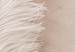 Canvas White feather on a beige counter - Scandi Boho style composition 136512 additionalThumb 4
