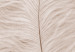 Canvas White feather on a beige counter - Scandi Boho style composition 136512 additionalThumb 5
