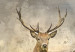 Large canvas print Deer in Field [Large Format] 137612 additionalThumb 6