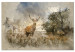 Large canvas print Deer in Field [Large Format] 137612