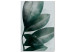 Canvas Art Print Olive Tree Leaves (1-piece) Vertical - landscape with botanical motif 142312