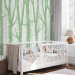 Photo Wallpaper Pastel forest - green birch trees with light leaves on branches 145112 additionalThumb 3