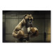 Canvas Art Print AI Boxer Dog - Fantasy Portrait of a Strong Animal in the Ring - Horizontal 150112 additionalThumb 7