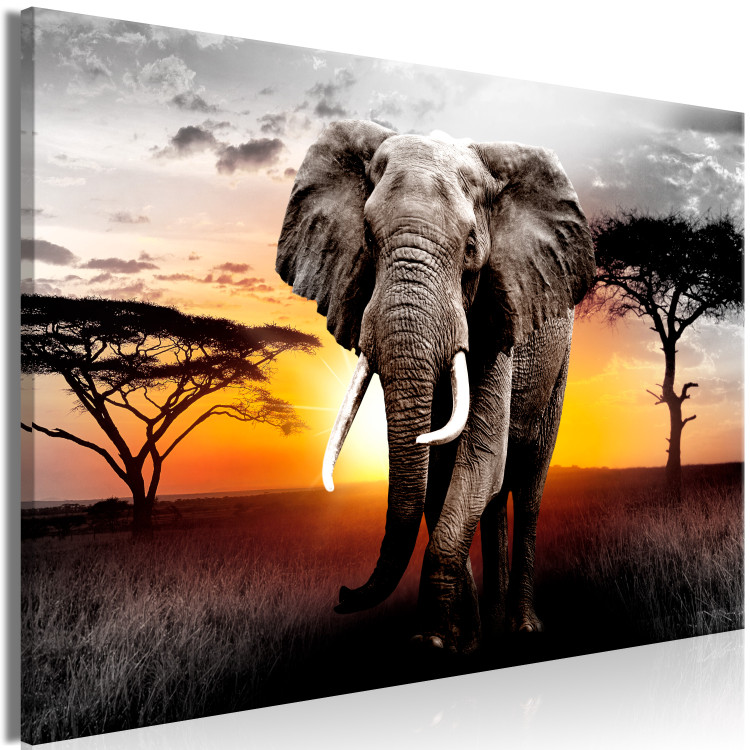 Large canvas print Elephant on the Savannah [Large Format] 150812 additionalImage 3