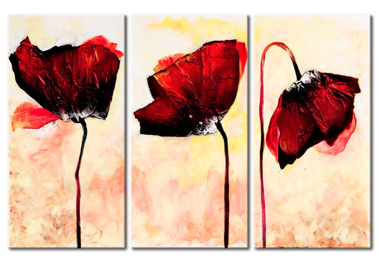 Canvas Print Three Red Flowers (3-piece) - Poppies on a background with a delicate colour 48512