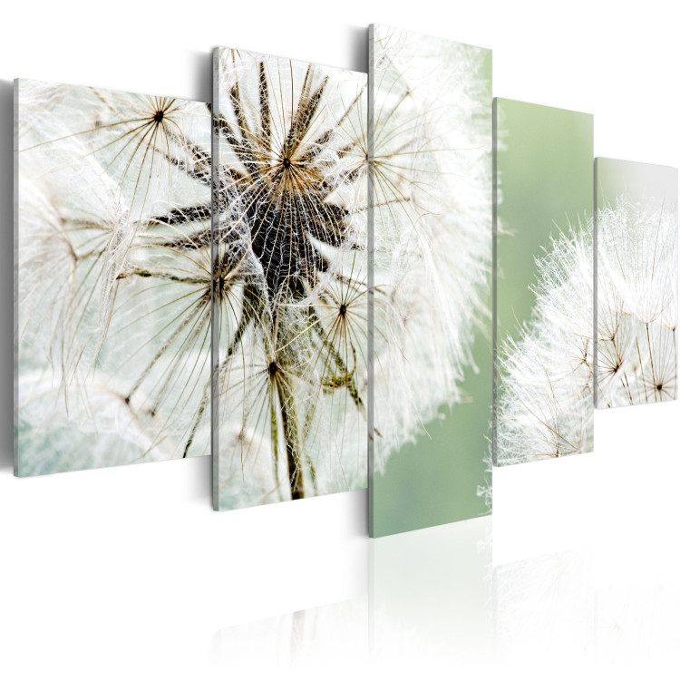 Canvas Art Print Dandelions waiting for the wind 58612 additionalImage 2