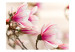 Photo Wallpaper Magnolia Flowers - Natural Floral Motif on a Bright and Delicate Background 60412 additionalThumb 1