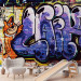 Photo Wallpaper Graffiti Wall - Street Art Mural with a Red Cat and Colorful Inscriptions 60612 additionalThumb 6