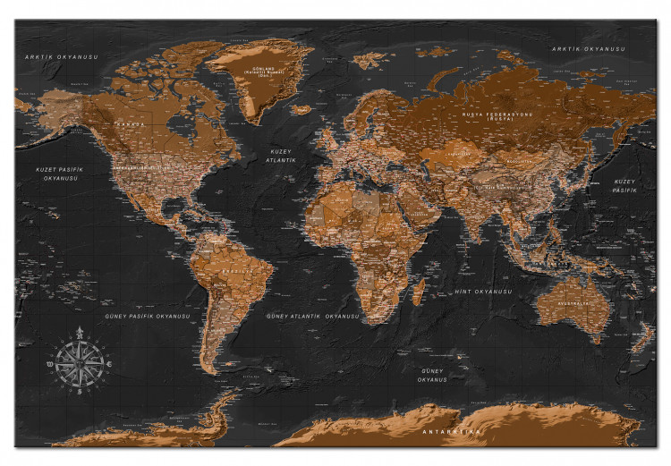 Cork Pinboard Brown World Map [Cork Map - Turkish Text] 105922 additionalImage 2