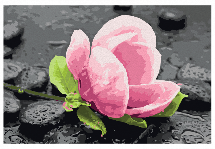 Paint by number Pink Flower and Stones 107522 additionalImage 7