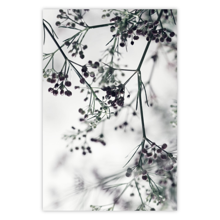 Poster Blooming Branches - black and white Scandinavian landscape with plant motifs 116522