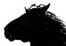 Canvas A rearing horse - black and white illustration of a horse silhouette 118822 additionalThumb 5