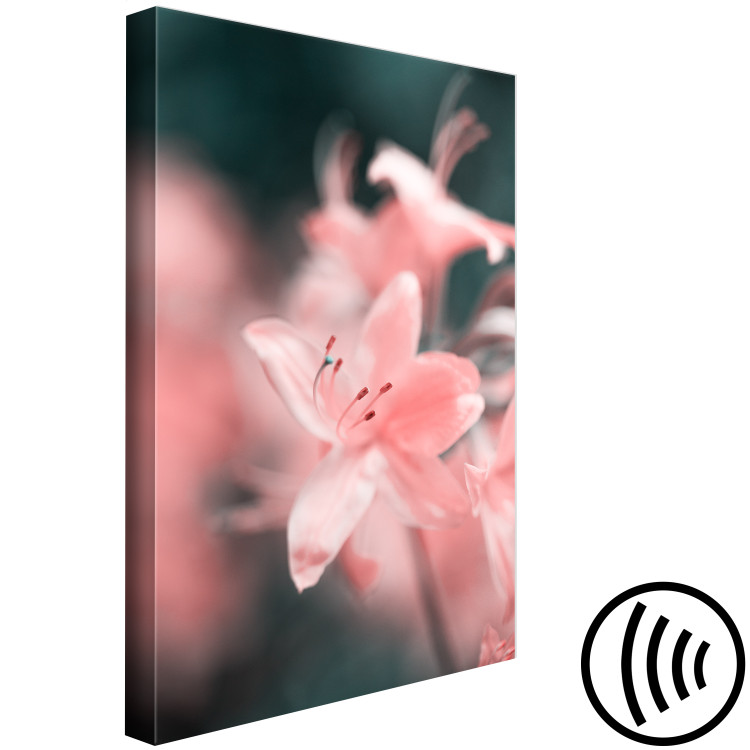 Canvas Print The gentleness of nature - a subtle, romantic photo of pink flowers 121622 additionalImage 6