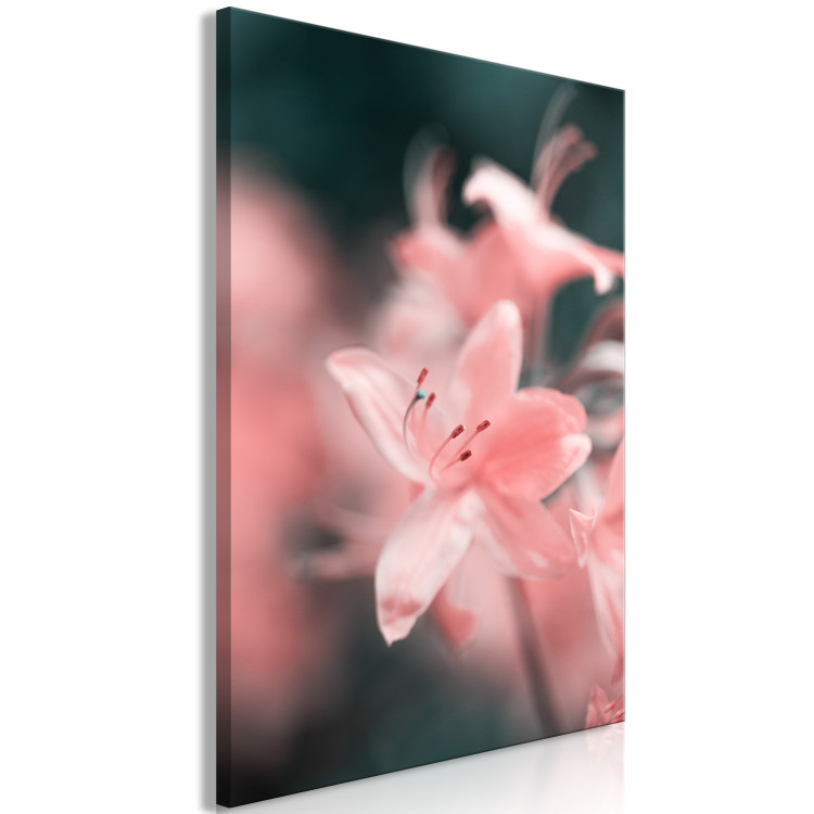 Canvas Print The gentleness of nature - a subtle, romantic photo of pink flowers 121622 additionalImage 2