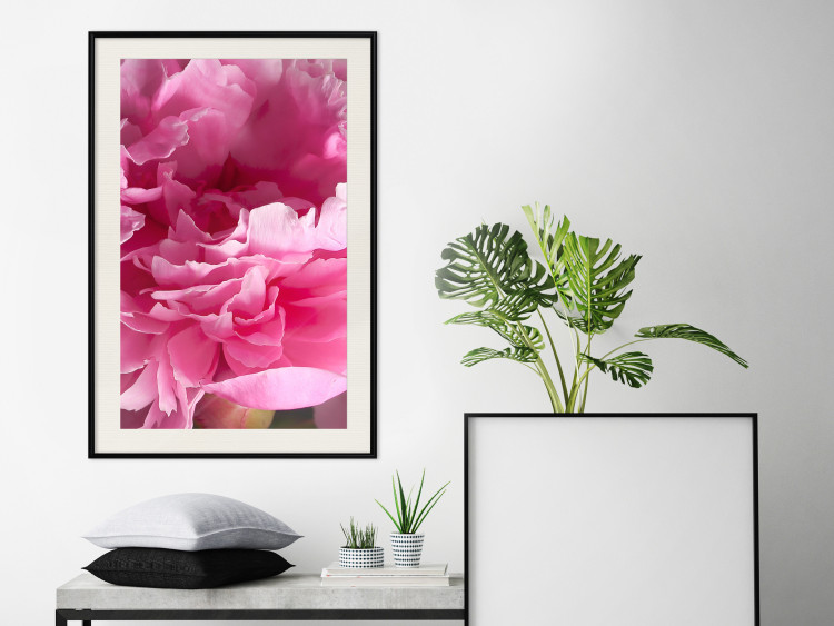 Wall Poster Beautiful Peonies - flower with pink petals on the background of the same flowers 122822 additionalImage 22