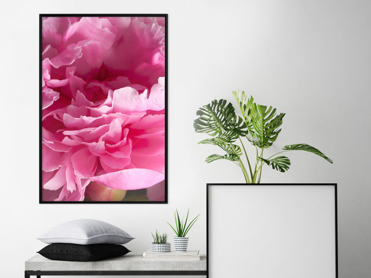 Wall Poster Beautiful Peonies - flower with pink petals on the background of the same flowers 122822 additionalImage 5