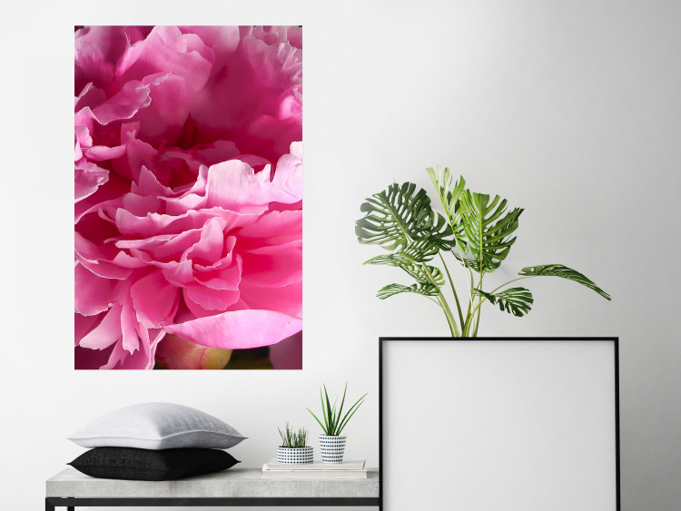 Wall Poster Beautiful Peonies - flower with pink petals on the background of the same flowers 122822 additionalImage 23