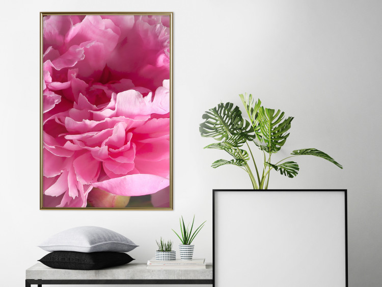 Wall Poster Beautiful Peonies - flower with pink petals on the background of the same flowers 122822 additionalImage 7