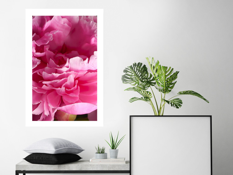 Wall Poster Beautiful Peonies - flower with pink petals on the background of the same flowers 122822 additionalImage 2