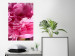 Wall Poster Beautiful Peonies - flower with pink petals on the background of the same flowers 122822 additionalThumb 17