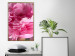Wall Poster Beautiful Peonies - flower with pink petals on the background of the same flowers 122822 additionalThumb 5