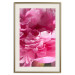 Wall Poster Beautiful Peonies - flower with pink petals on the background of the same flowers 122822 additionalThumb 19