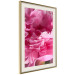 Wall Poster Beautiful Peonies - flower with pink petals on the background of the same flowers 122822 additionalThumb 2