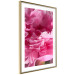 Wall Poster Beautiful Peonies - flower with pink petals on the background of the same flowers 122822 additionalThumb 8