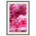 Wall Poster Beautiful Peonies - flower with pink petals on the background of the same flowers 122822 additionalThumb 18
